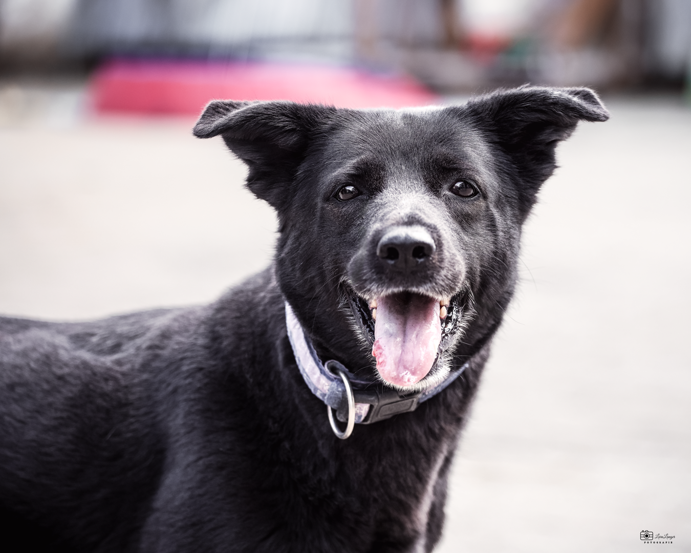Ronja