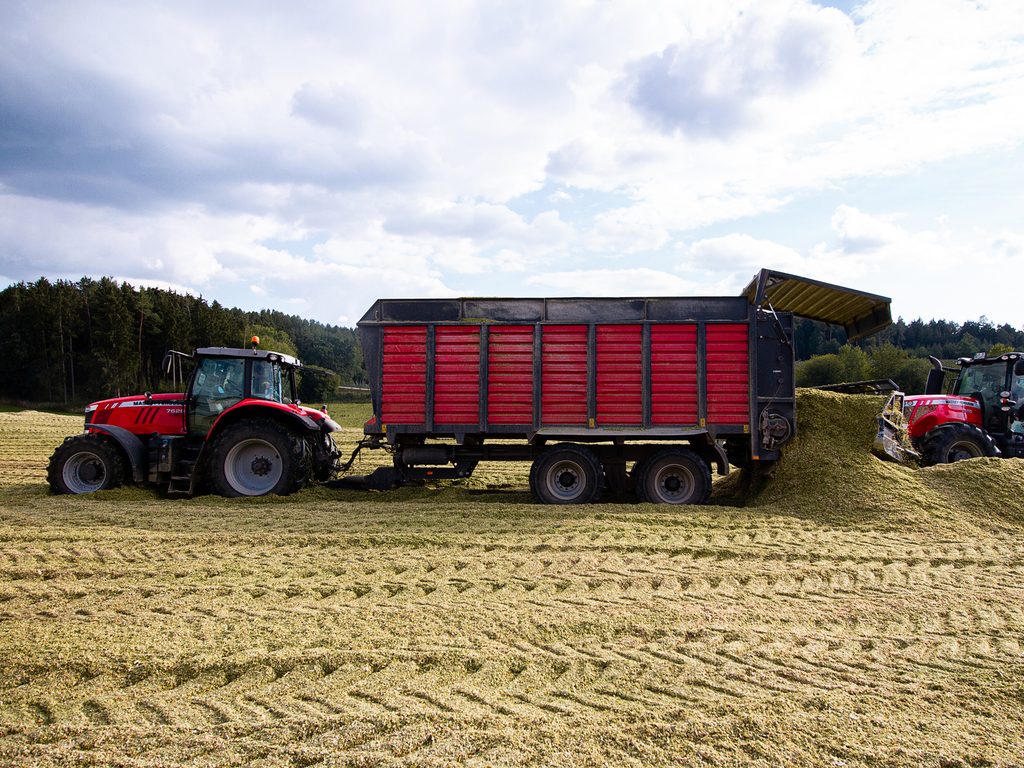 Traktor beim Verdichten von Silage