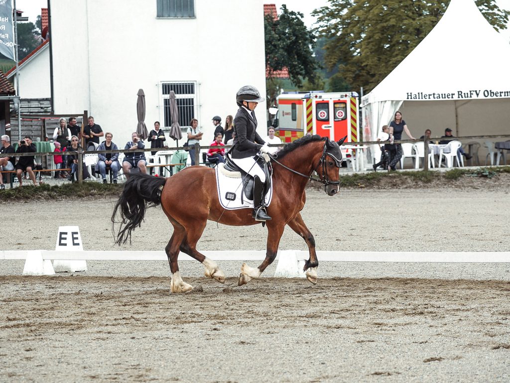Dressurprüfung auf einem Reitturnier