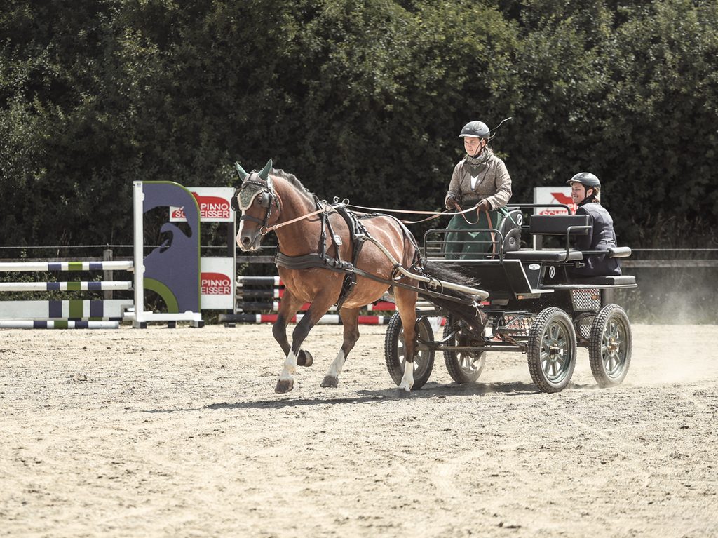 Pferdegespann in schneller Fahrt