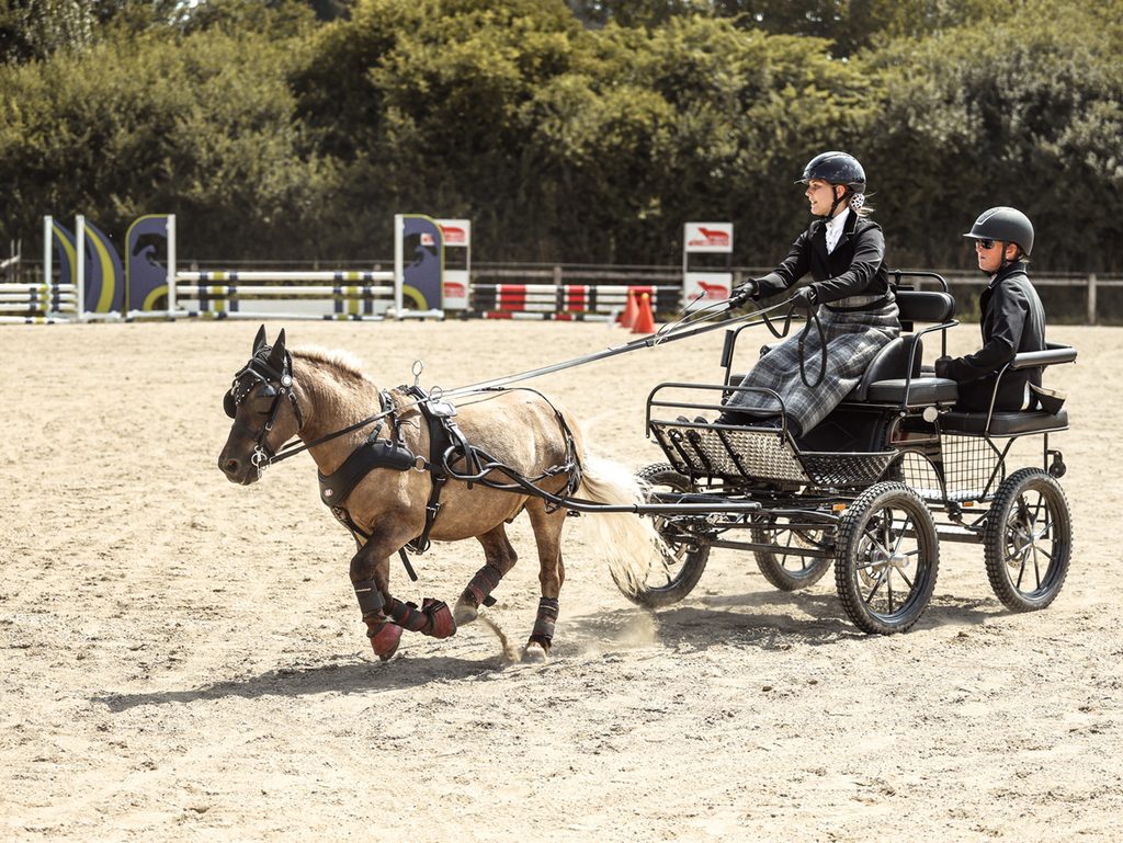 Ponygespann bei einer Fahrsportprüfung