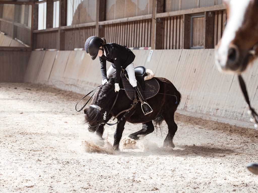 Reiter und Pferd in Bewegung beim Turnier