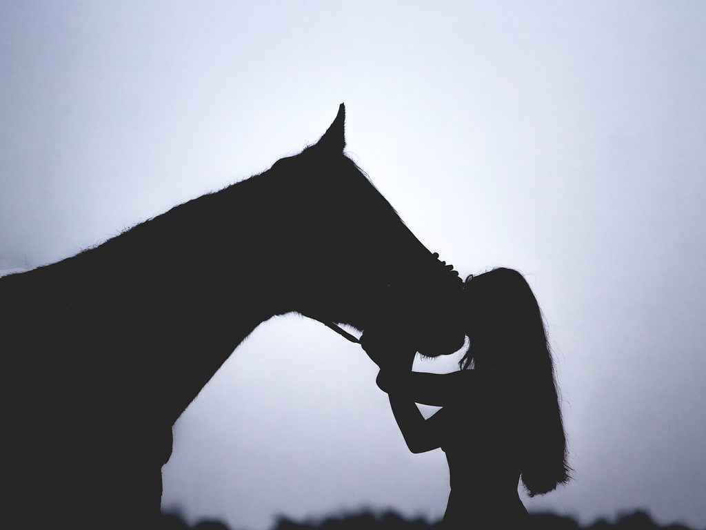 Frau und Pferd Kopf an Stirn